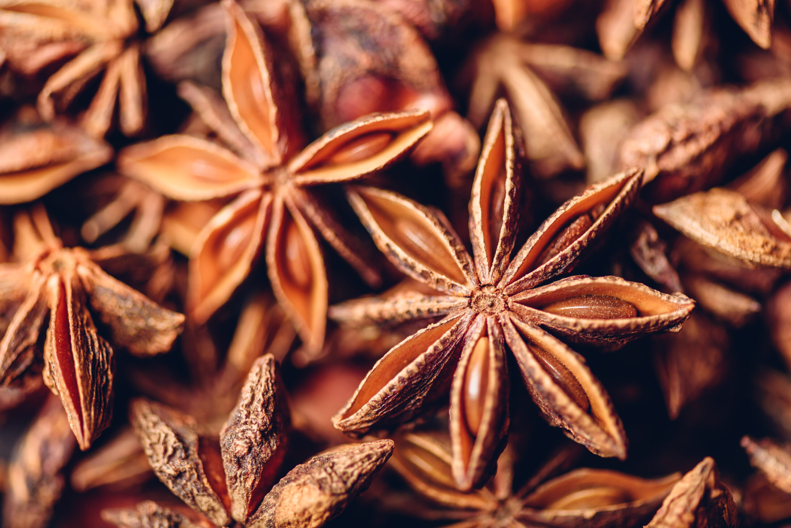 Star Anise Suppliers - Chakr Phool