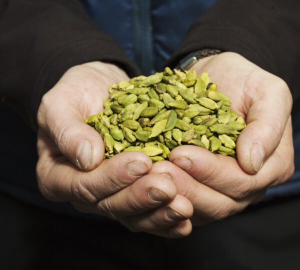 Cardamom Suppliers