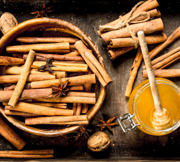 Cinnamon Suppliers