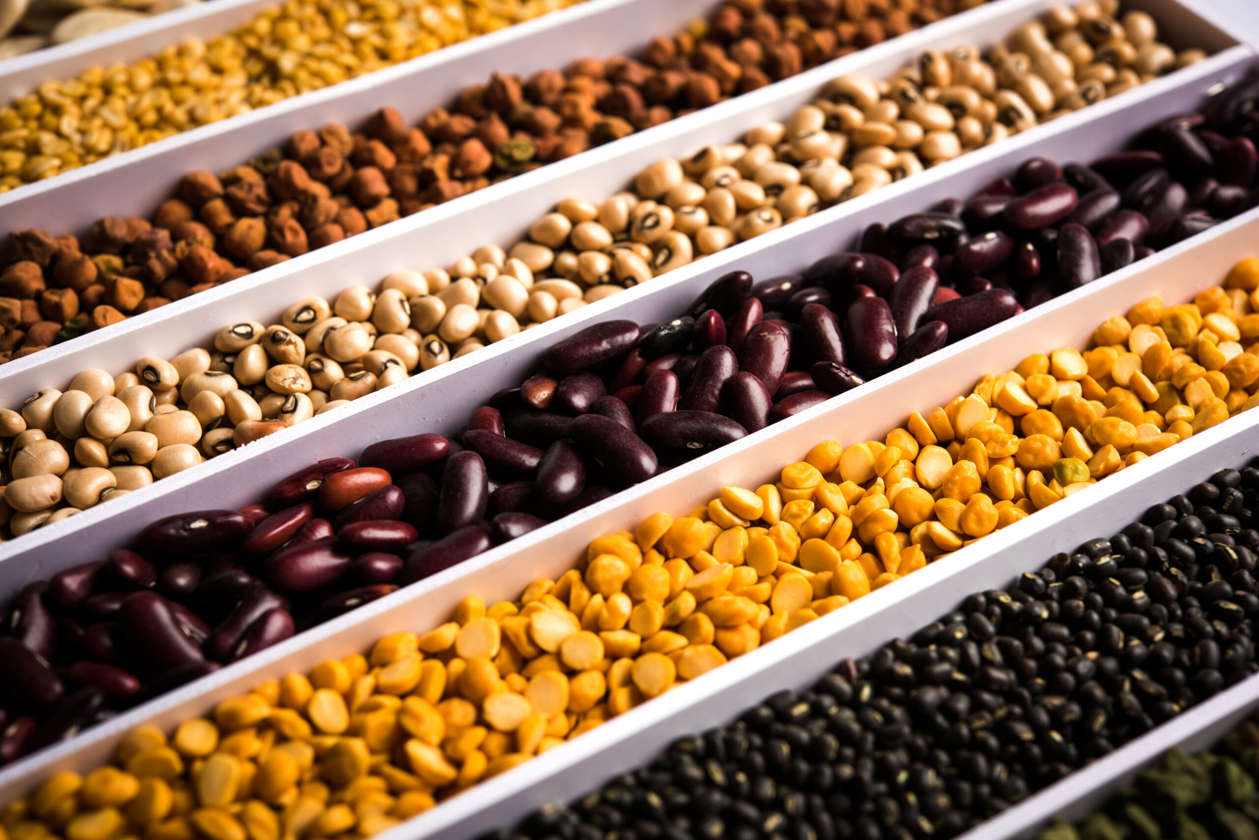 Pulses Suppliers