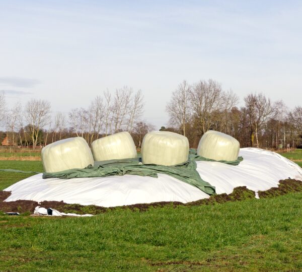 Silage Suppliers